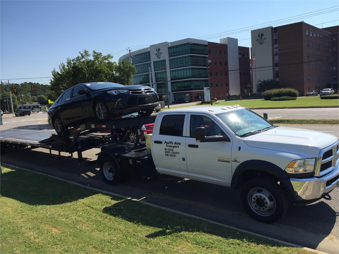 5500 Dodge Trucks For Sale: Your Ultimate Guide to a Heavy-Duty Workhorse
