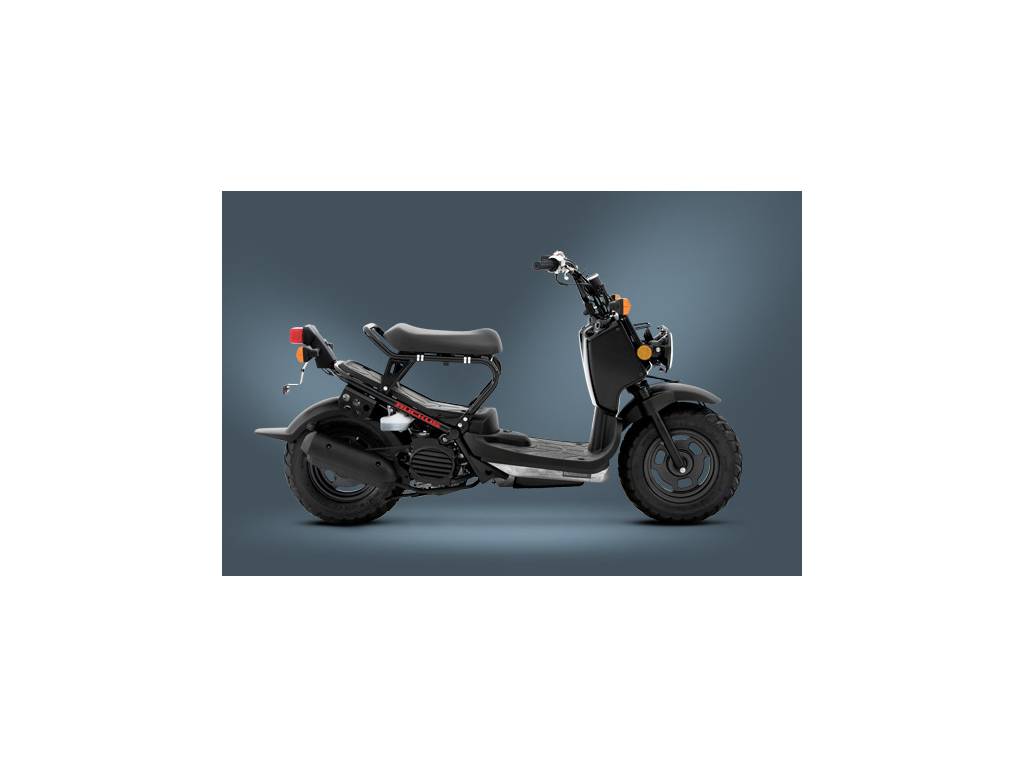 2015 Honda Ruckus For Sale 98 Used Motorcycles From 1,800