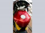 1998 Honda CBR 900RR