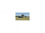 2006 Bourget PYTHON CHOPPER 300