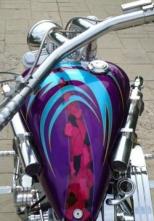 2002 Bourget Python $3,200