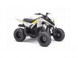 2017 Yamaha RAPTOR 90