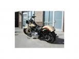2015 Harley-Davidson SOFTAIL SLIM