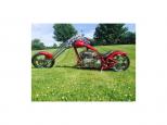 2004 Bourget PYTHON CHOPPER