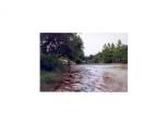 413 Murphy Dr