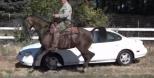 1998 Ford Taurus LX